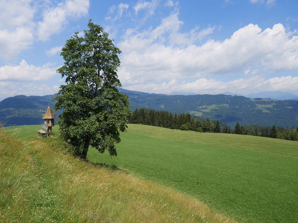 Alpengasthof Moser Karchau 외부 사진